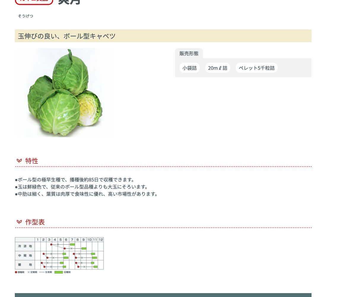 爽月