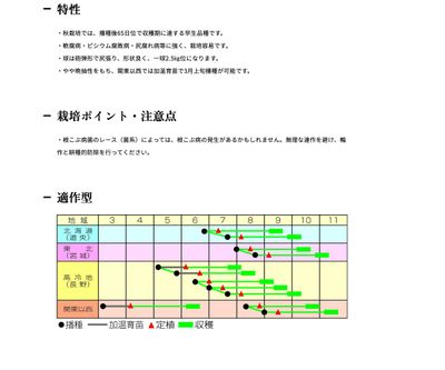夏の祭典の画像