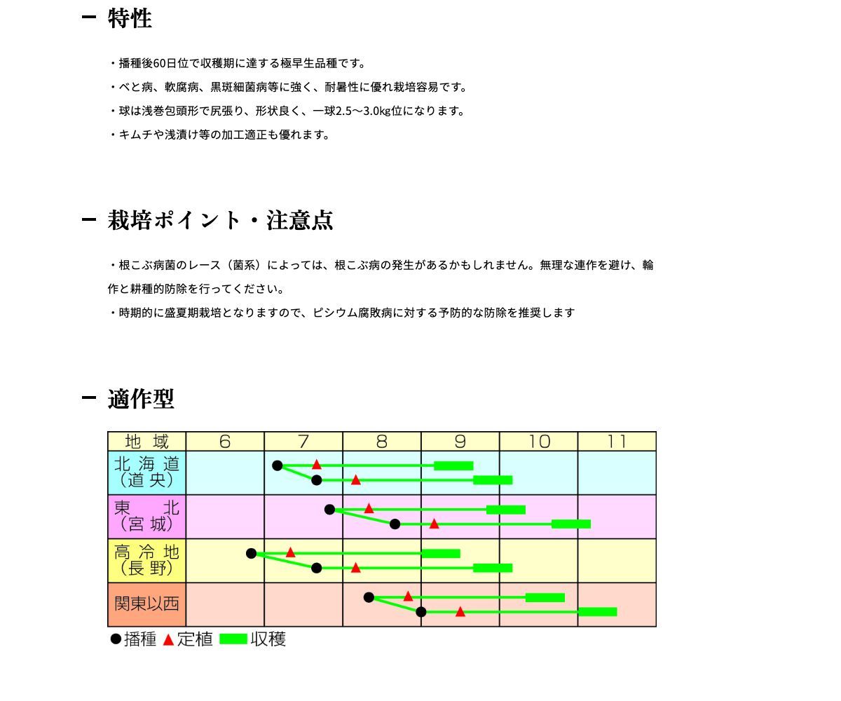 黄芯スプリンター