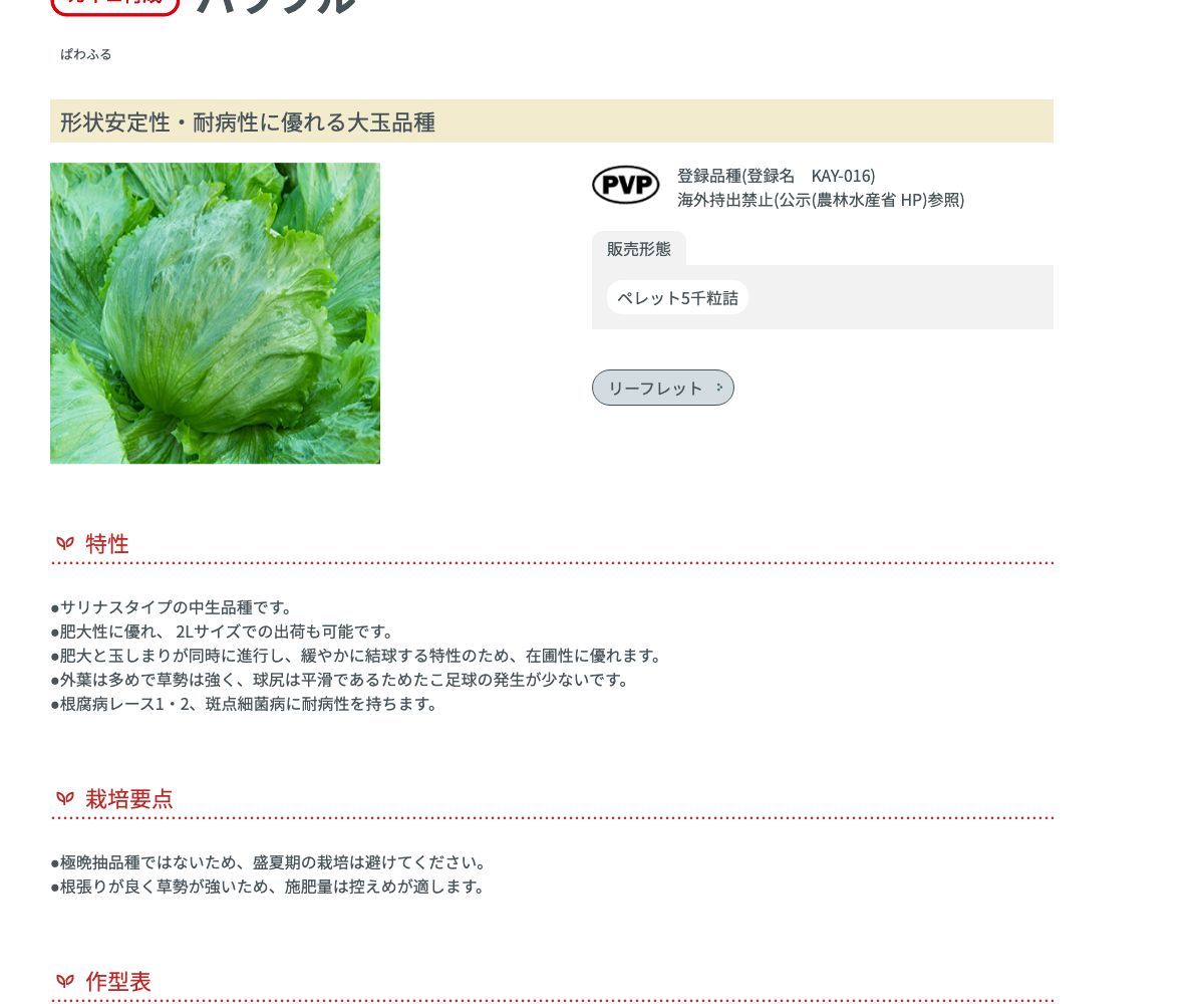 パワフル