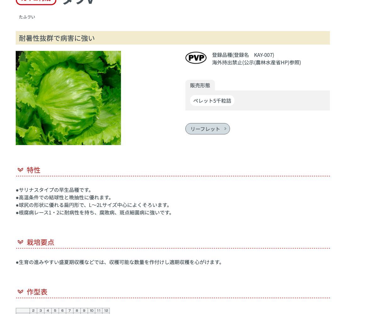 タフV