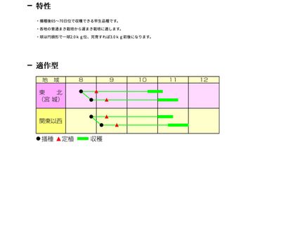 松島純二号の画像