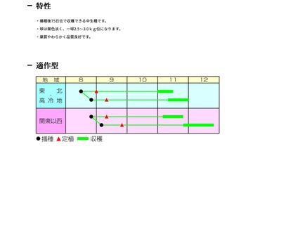 松島新二号の画像