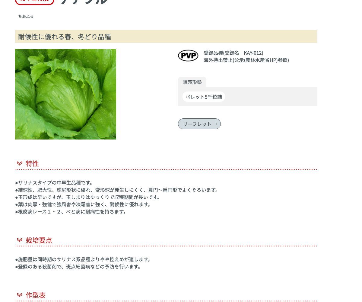 チアフル