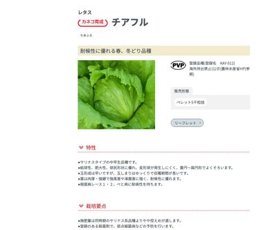 チアフルの画像