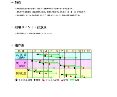YR青春二号の画像