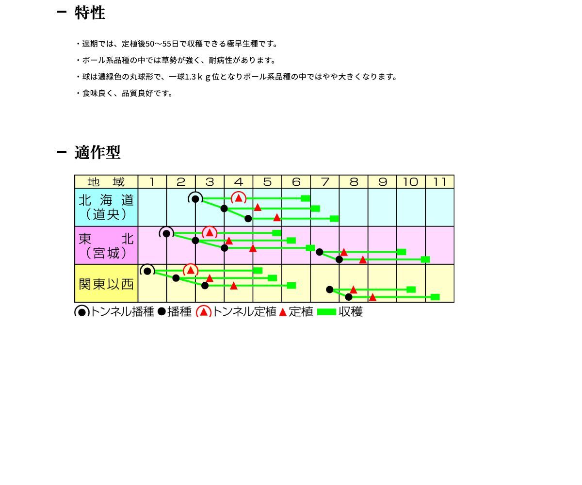 スピードボール２号
