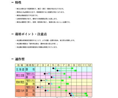 ジェジェJの画像