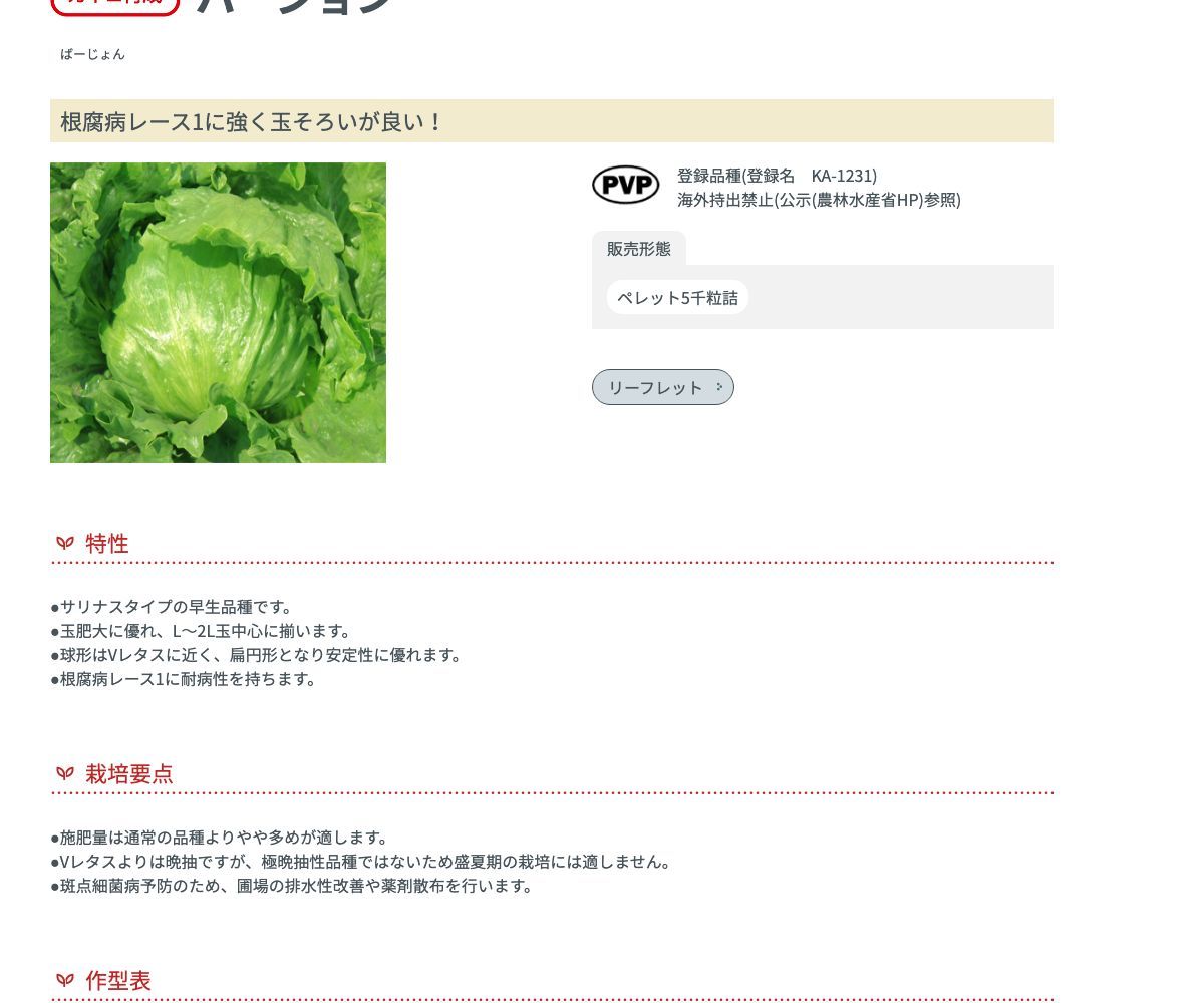 バージョン