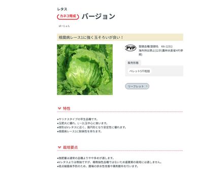 バージョンの画像