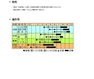 近成芳香Gの画像