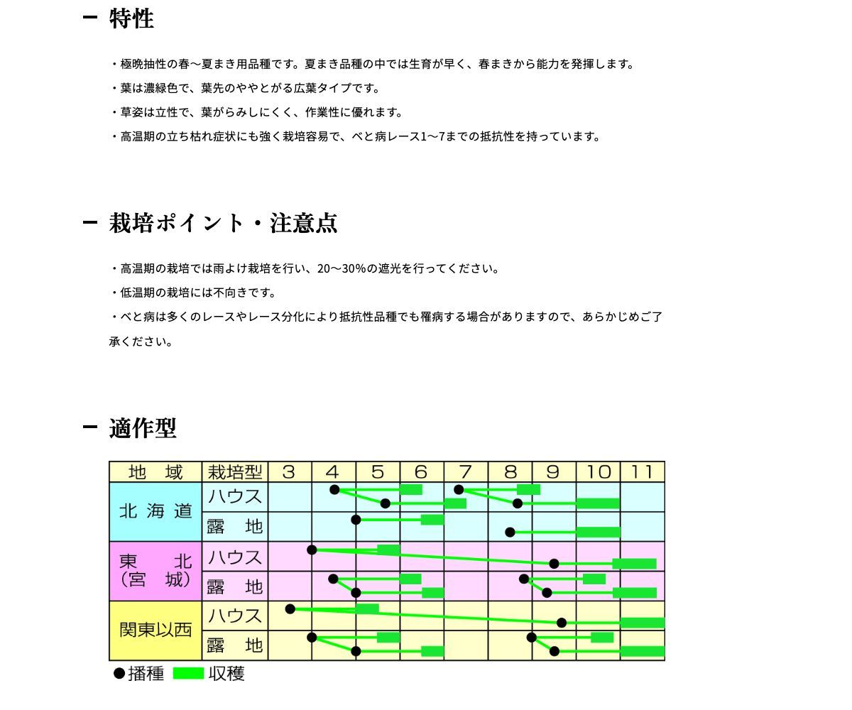 サマービクトリー７