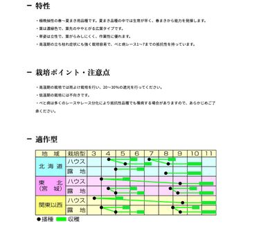 サマービクトリー７の画像