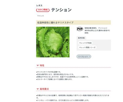 テンションの画像