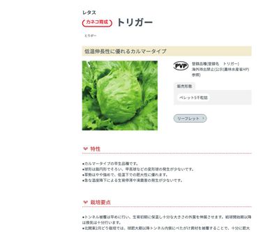 トリガーの画像