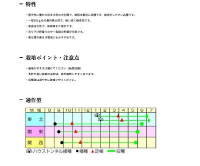 オーロラの画像