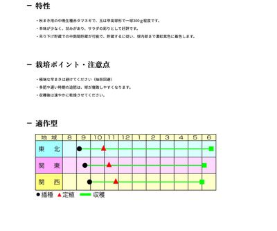 甲高ルージュの画像