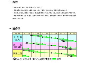 蔵王 小松菜の画像