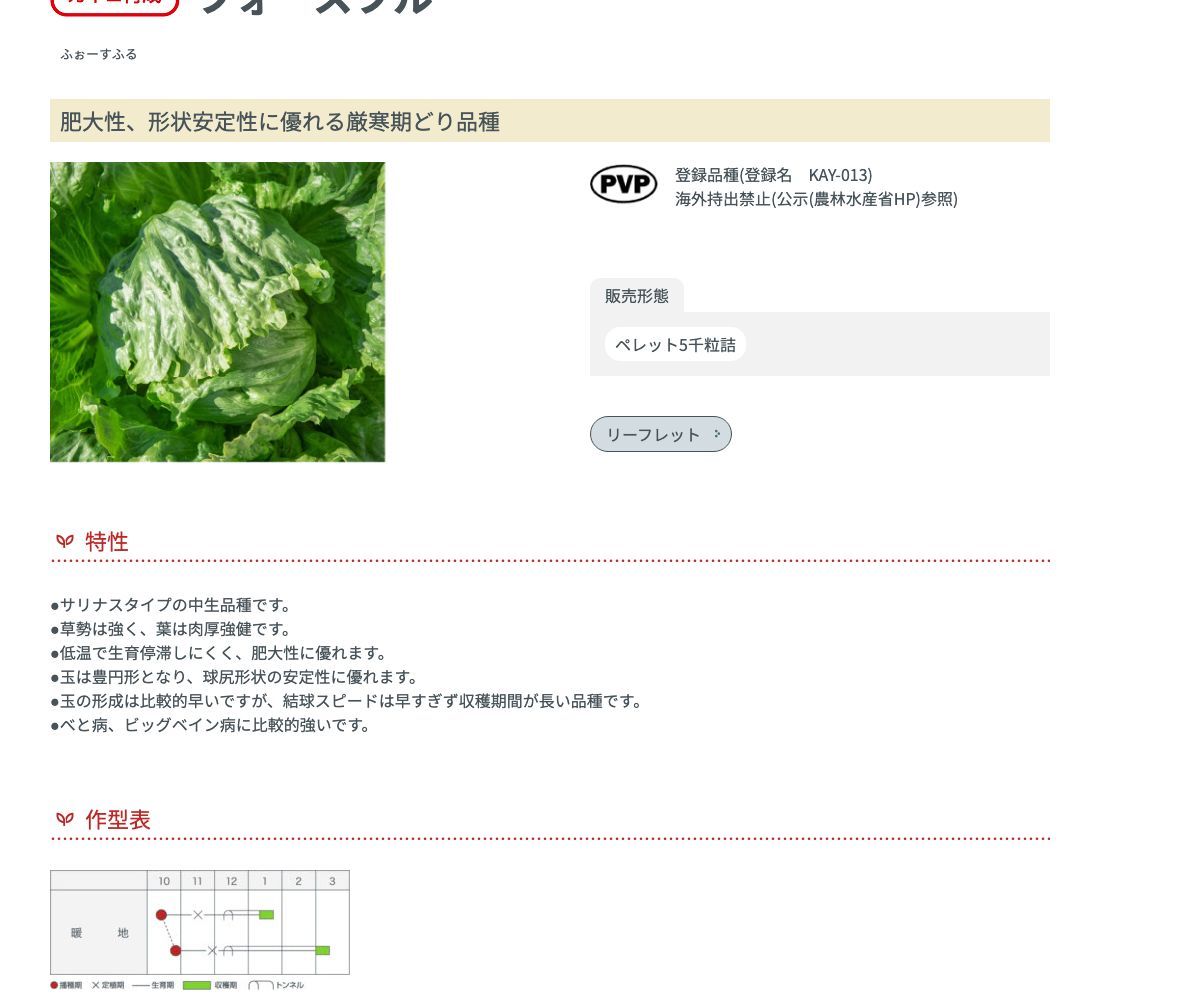 フォースフル