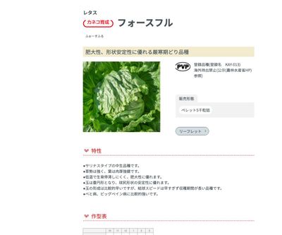 フォースフルの画像