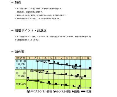CR大河 小松菜の画像