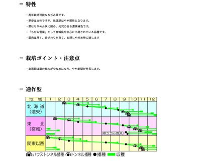広瀬ちぢみ菜の画像
