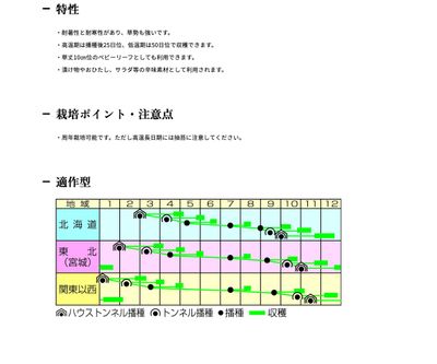 リアスからし菜の画像