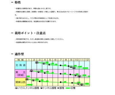 赤リアスからし菜の画像