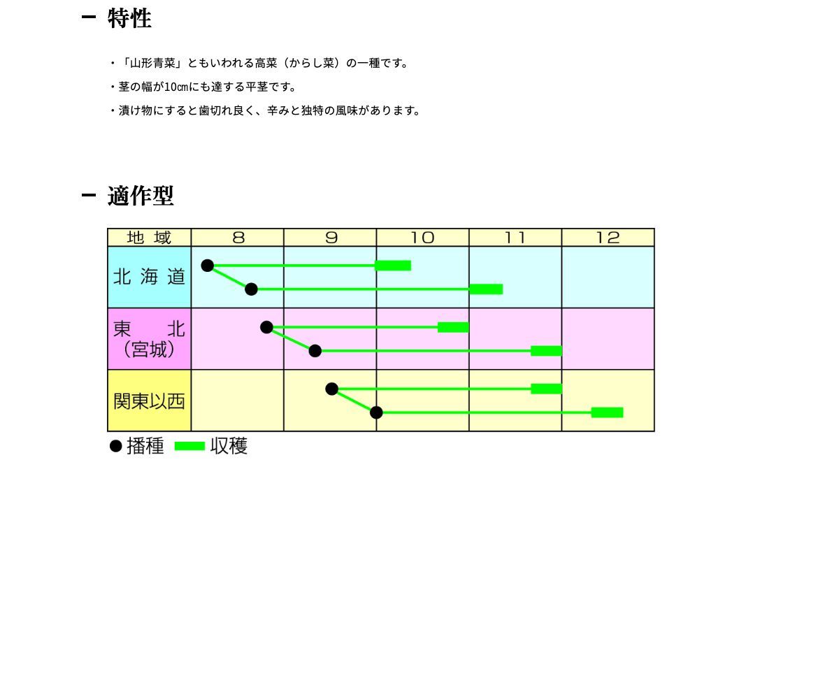 清国青菜（山形青菜）