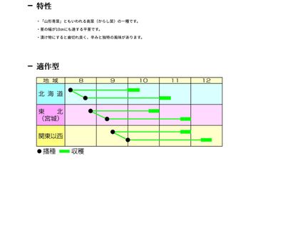 清国青菜（山形青菜）の画像