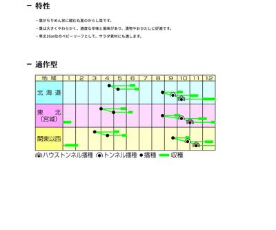 ちりめん葉からし菜の画像