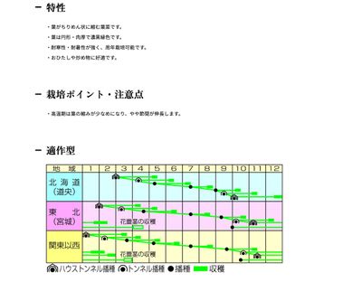 ちぢみ菜の画像