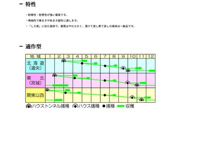 ビタミン菜の画像