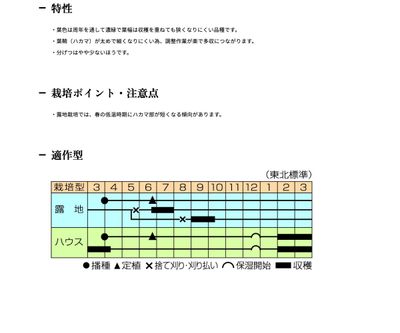 西安大葉の画像