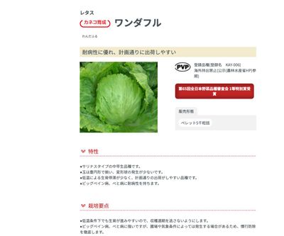 ワンダフルの画像