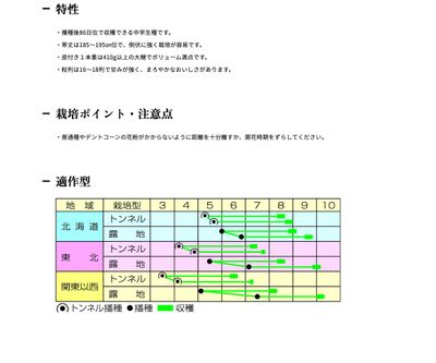 カロライン８６の画像