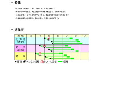 青森みどりの画像