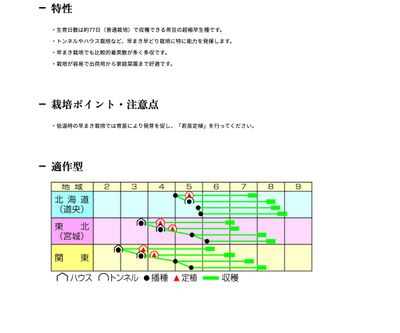 はやいっ茶の画像