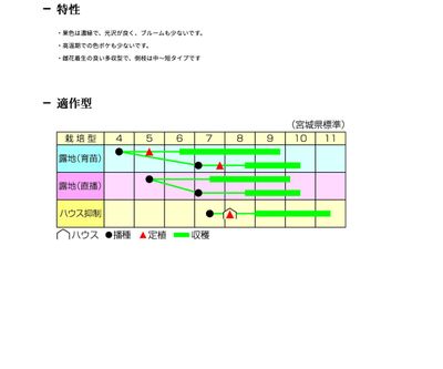青函白いぼの画像