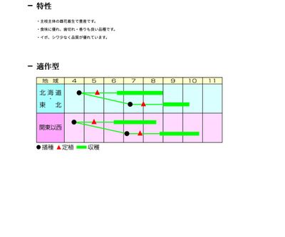 豊産四葉の画像