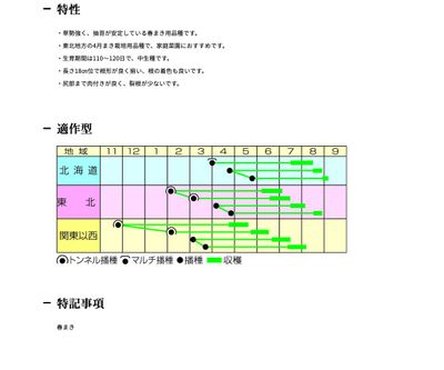 スーパー春蒔五寸の画像
