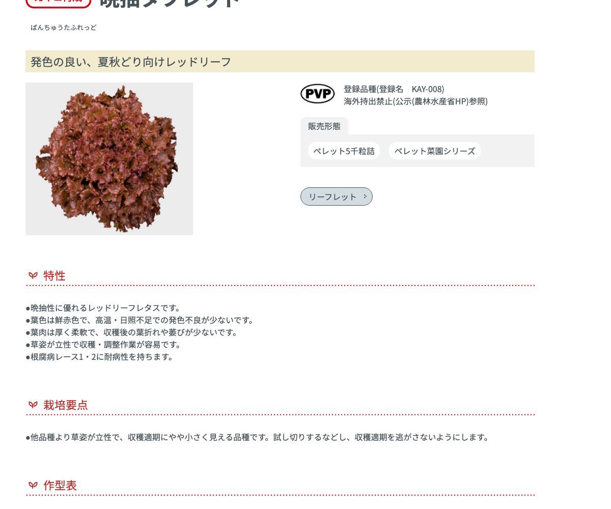 晩抽タフレッド