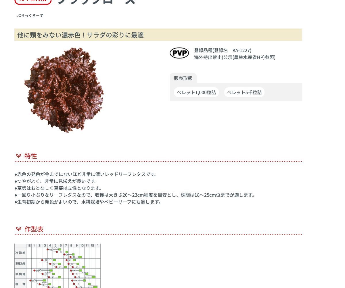 ブラックローズ