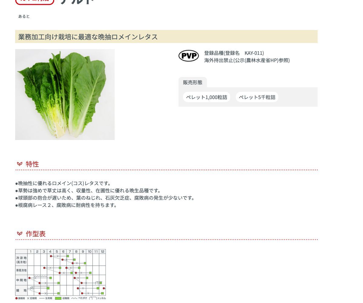 アルト