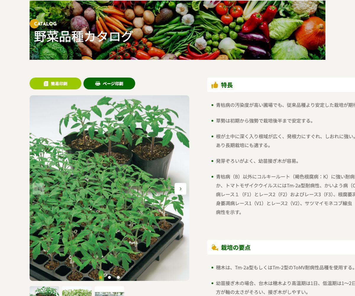 キングバリア