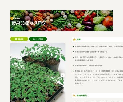 キングバリアの画像