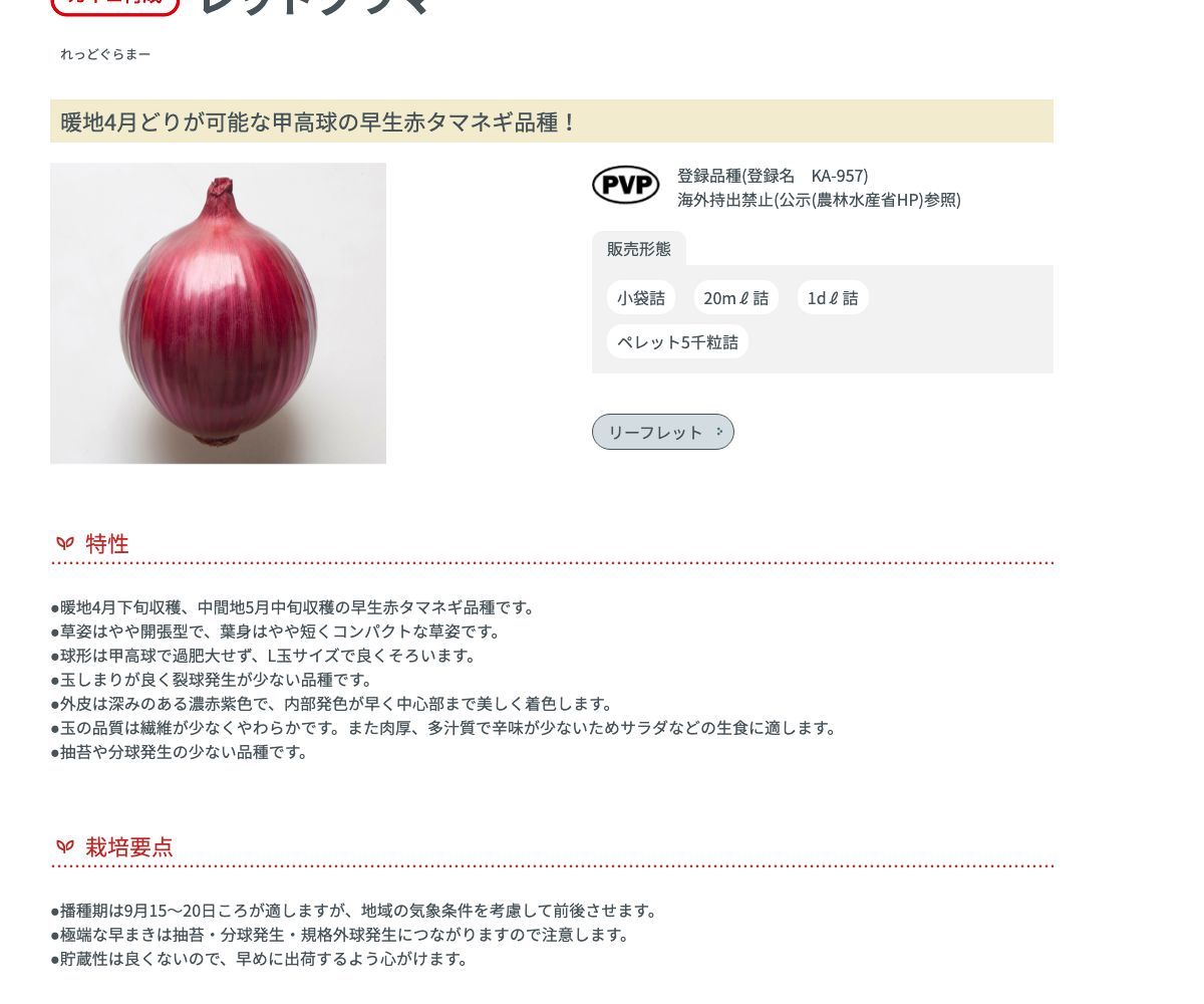 レッドグラマー