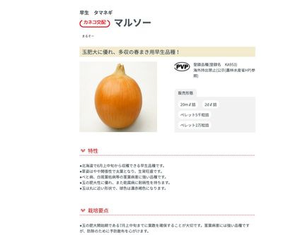 マルソーの画像