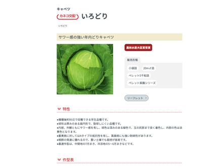 いろどりの画像