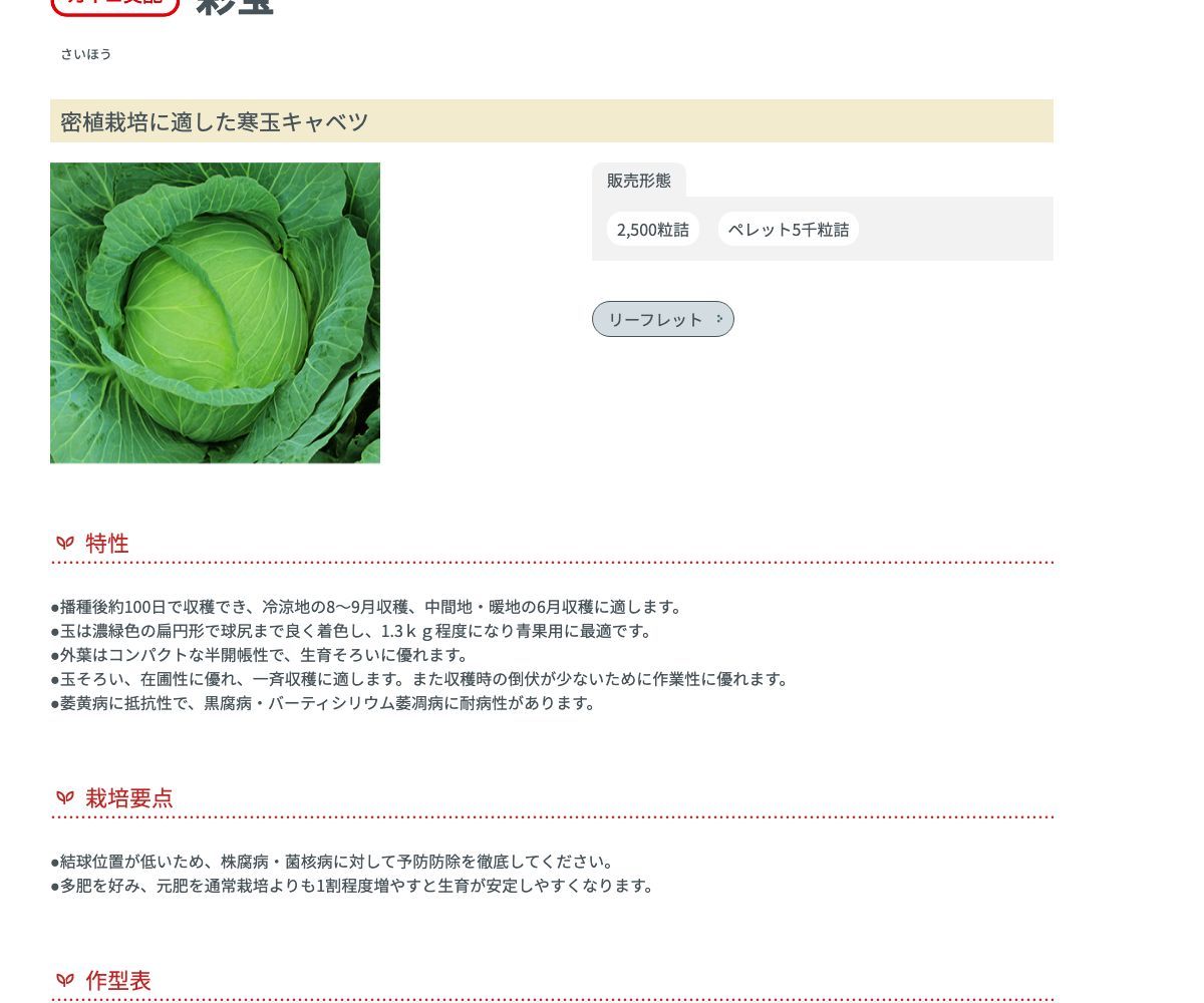 彩宝